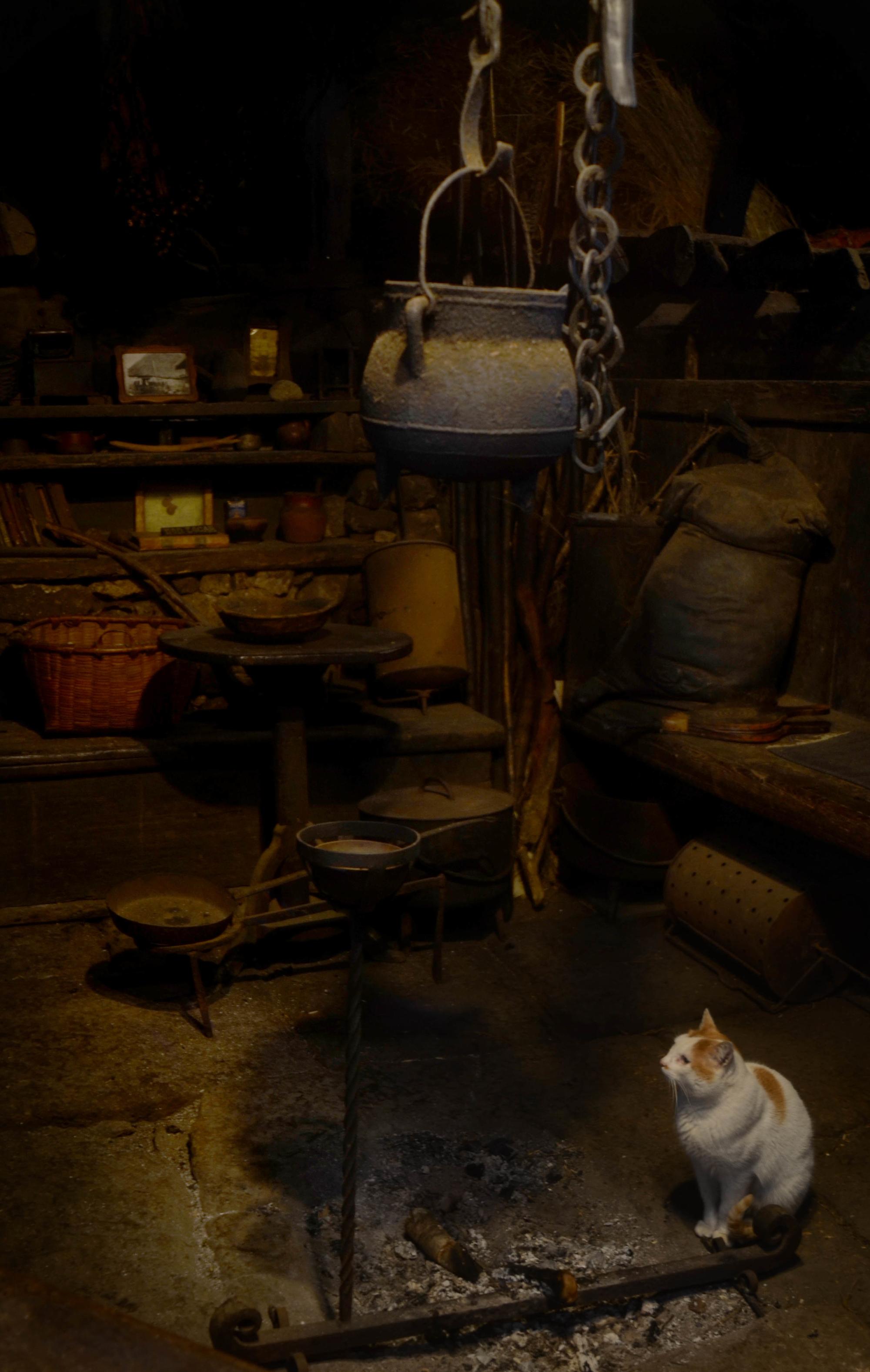 Pallozas Miguel Núñez - 6